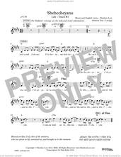 Cover icon of Shehecheyanu sheet music for voice and other instruments (fake book) by Sheldon Low, intermediate skill level