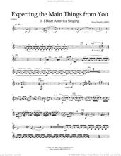 Cover icon of Expecting The Main Things From You sheet music for orchestra/band (parts) by Nico Muhly, classical score, intermediate skill level