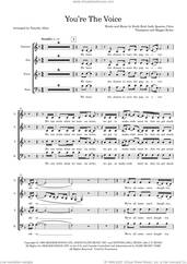 Cover icon of You're The Voice (arr. Tim Allen) (COMPLETE) sheet music for orchestra/band by John Farnham, Andy Quanta, Chris Thompson, Keith Reid, Maggie Ryder and Tim Allen, intermediate skill level
