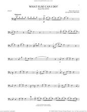 Cover icon of What Else Can I Do? (from Encanto) sheet music for cello solo by Lin-Manuel Miranda, intermediate skill level