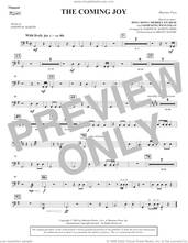 Cover icon of The Coming Joy sheet music for orchestra/band (timpani) by Joseph M. Martin, intermediate skill level