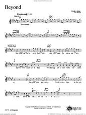 Cover icon of Beyond sheet music for voice and other instruments (fake book) by Dan Nichols, intermediate skill level