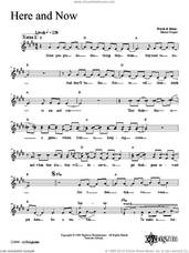 Cover icon of Here and Now sheet music for voice and other instruments (fake book) by Dan Nichols, intermediate skill level
