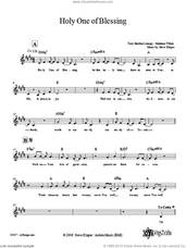 Cover icon of Holy One of Blessing sheet music for voice and other instruments (fake book) by Steve Klaper, intermediate skill level