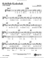Cover icon of Kehillah Kedoshah sheet music for voice and other instruments (fake book) by Dan Nichols, intermediate skill level