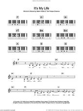 Cover icon of It's My Life sheet music for piano solo (chords, lyrics, melody) by Talk Talk, Mark Hollis and Tim Friese-Greene, intermediate piano (chords, lyrics, melody)