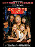 Cover icon of Can't Fight the Moonlight  (Theme from Coyote Ugly) sheet music for piano, voice or other instruments by Diane Warren, easy/intermediate skill level