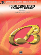 Cover icon of Irish Tune from County Derry sheet music for string orchestra (full score) by Anonymous, beginner skill level
