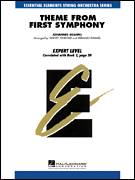 Cover icon of Theme from First Symphony (COMPLETE) sheet music for orchestra by Johannes Brahms, Harvey Whistler and Herman Hummel, classical score, intermediate skill level
