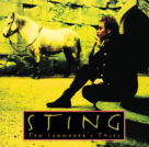 Cover icon of If I Ever Lose My Faith In You sheet music for guitar solo (easy tablature) by Sting, easy guitar (easy tablature)