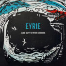 Cover icon of Eyrie (for Tin Whistle and Piano) sheet music for piano solo by Jamie Duffy feat. Peter Sandberg, Jamie Duffy and Peter Sandberg, classical score, intermediate skill level