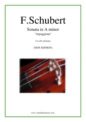 Franz Schubert: Sonata in A minor "Arpeggione"