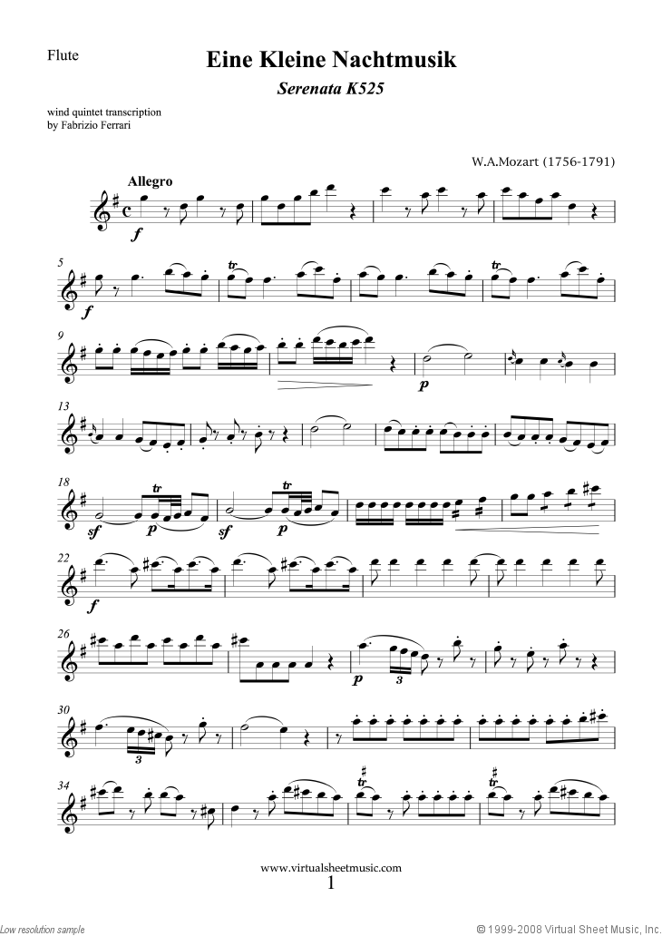 About the Composer of 'Eine Kleine Nachtmusik'