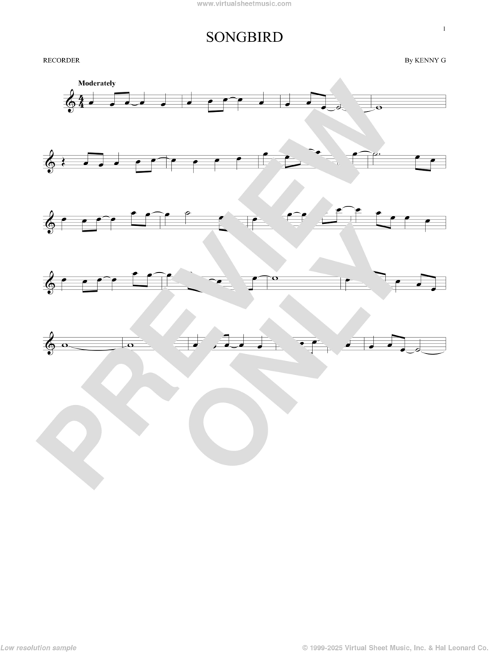 Songbird sheet music for recorder solo by Kenny G, intermediate skill level