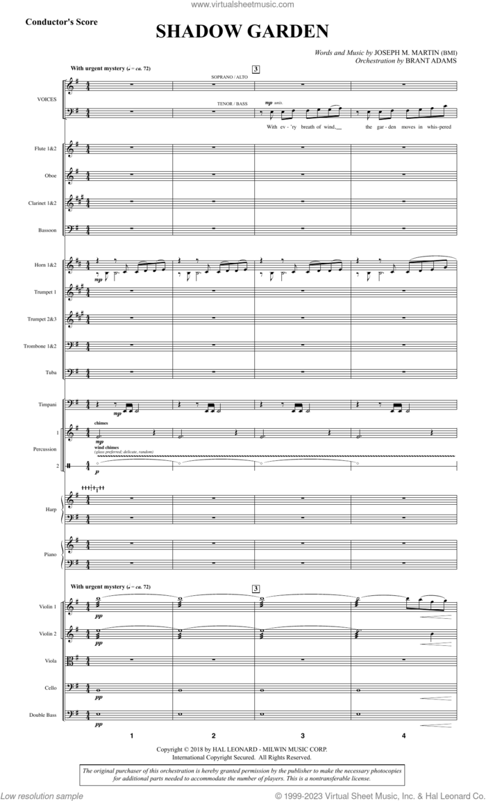 Shadow Garden (Full Orchestra) (COMPLETE) sheet music for orchestra/band (Orchestra) by Joseph M. Martin, intermediate skill level