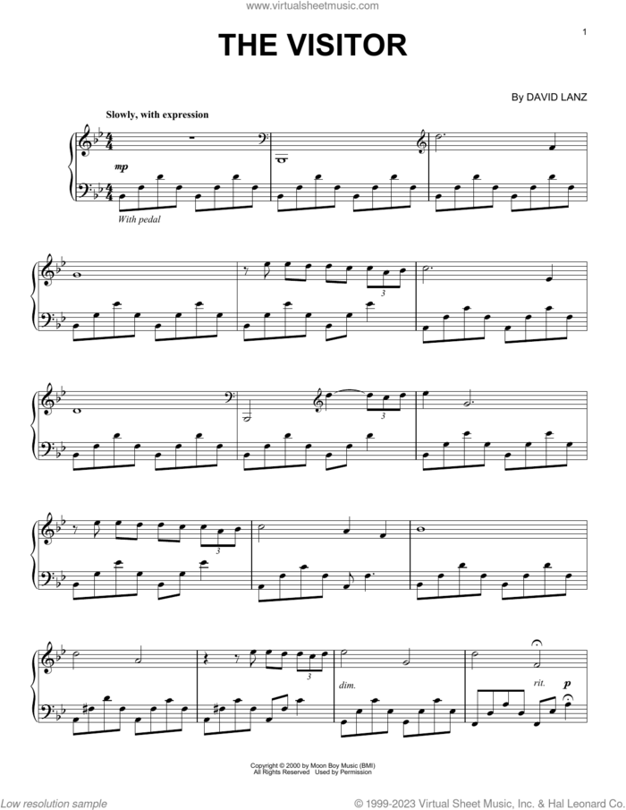 The Visitor sheet music for piano solo by David Lanz, intermediate skill level