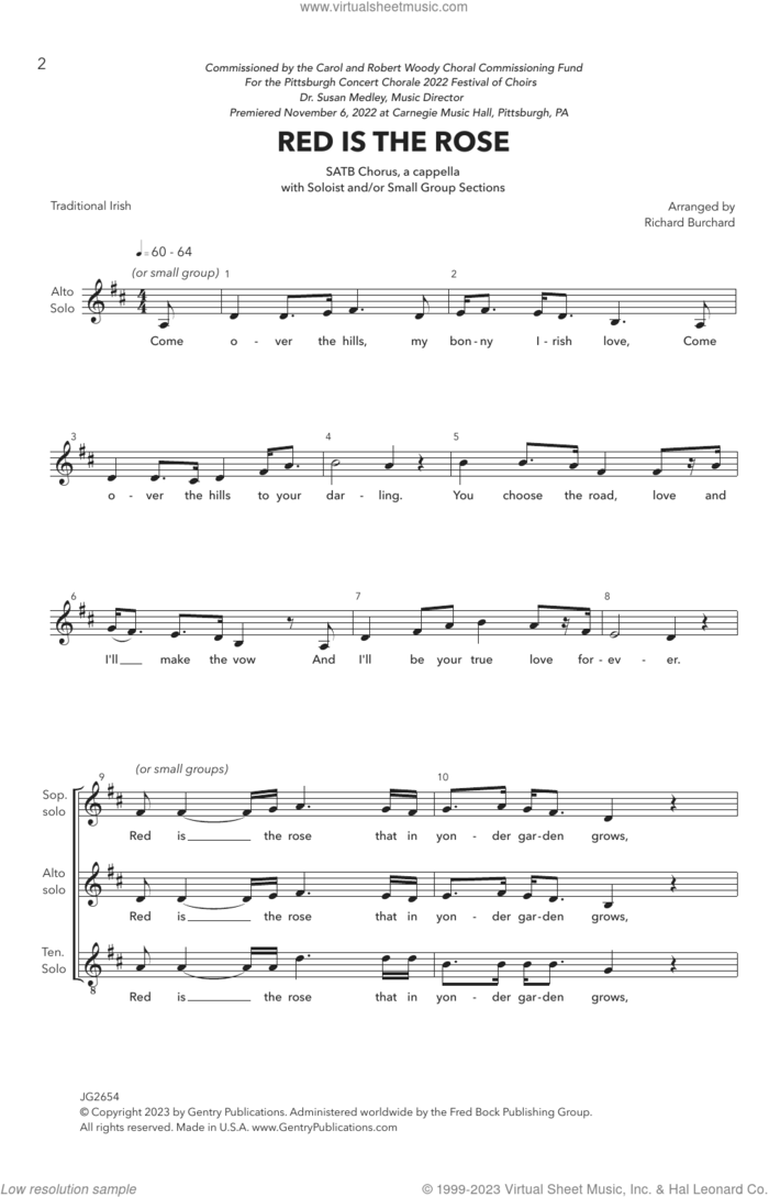 Red Is The Rose (arr. Richard Burchard) sheet music for choir (SATB: soprano, alto, tenor, bass) by Traditional Irish and Richard Burchard, intermediate skill level