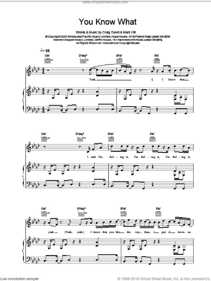 You Know What sheet music for voice, piano or guitar by Craig David, intermediate skill level