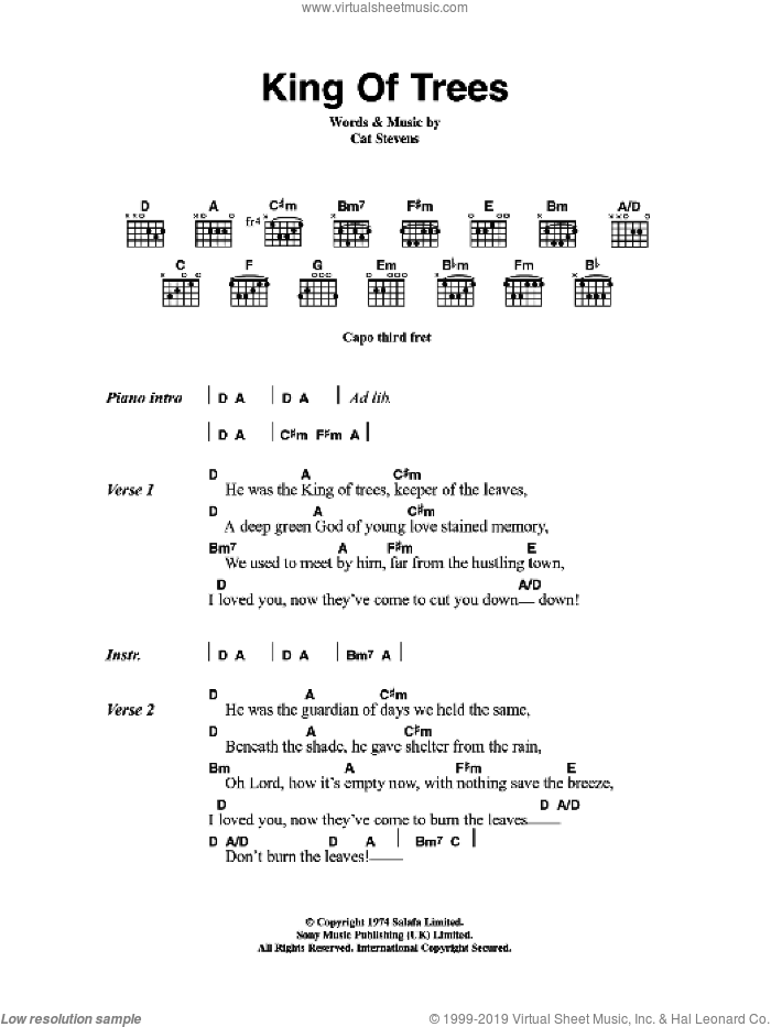 King Of Trees sheet music for guitar (chords) by Cat Stevens, intermediate skill level