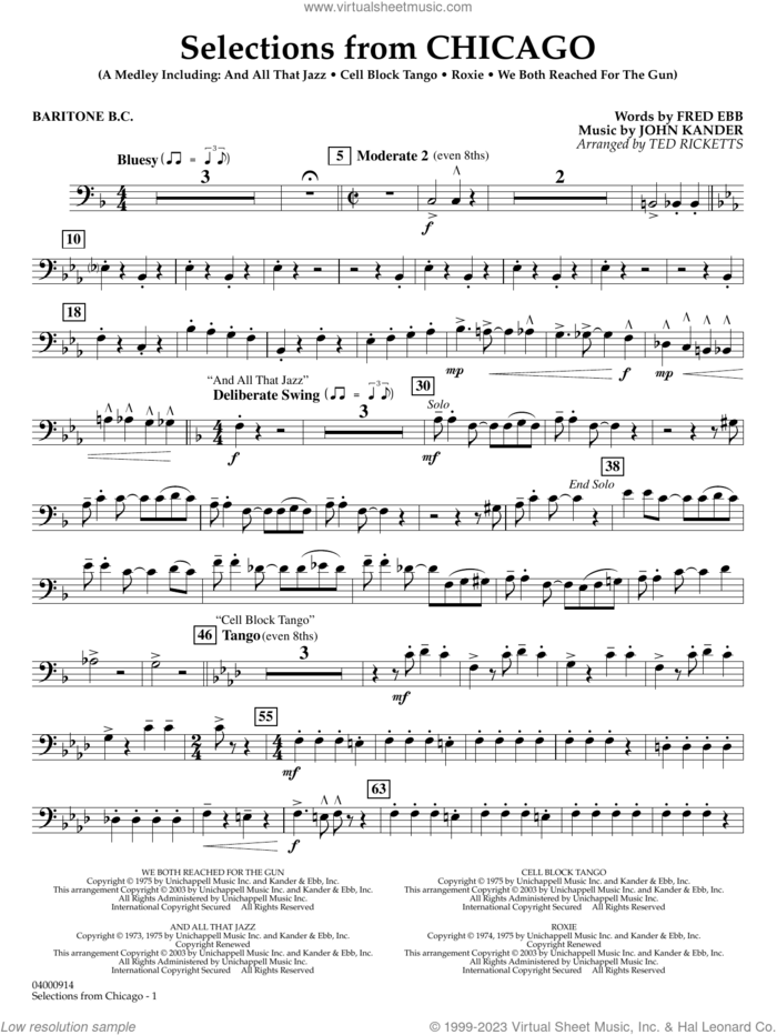 Selections from Chicago (arr. Ted Ricketts) sheet music for concert band (baritone b.c.) by John Kander, Ted Ricketts, Fred Ebb and Kander & Ebb, intermediate skill level