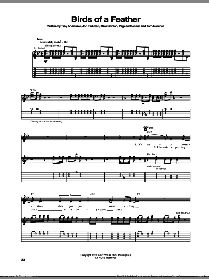 Birds Of A Feather sheet music for guitar (tablature) by Phish, Jon Fishman, Mike Gordon, Page McConnell, Tom Marshall and Trey Anastasio, intermediate skill level