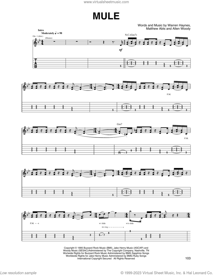 Mule sheet music for guitar (tablature) by Gov't Mule, Allen Woody, Matthew Abts and Warren Haynes, intermediate skill level