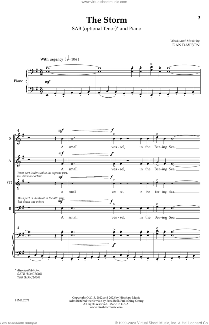 The Storm sheet music for choir (SAB: soprano, alto, bass) by Dan Davison, intermediate skill level