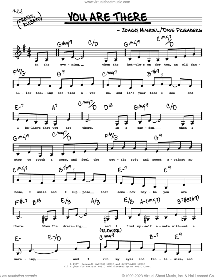You Are There (Low Voice) sheet music for voice and other instruments (low voice) by Michael Feinstein, Dave Frishberg and Johnny Mandel, intermediate skill level