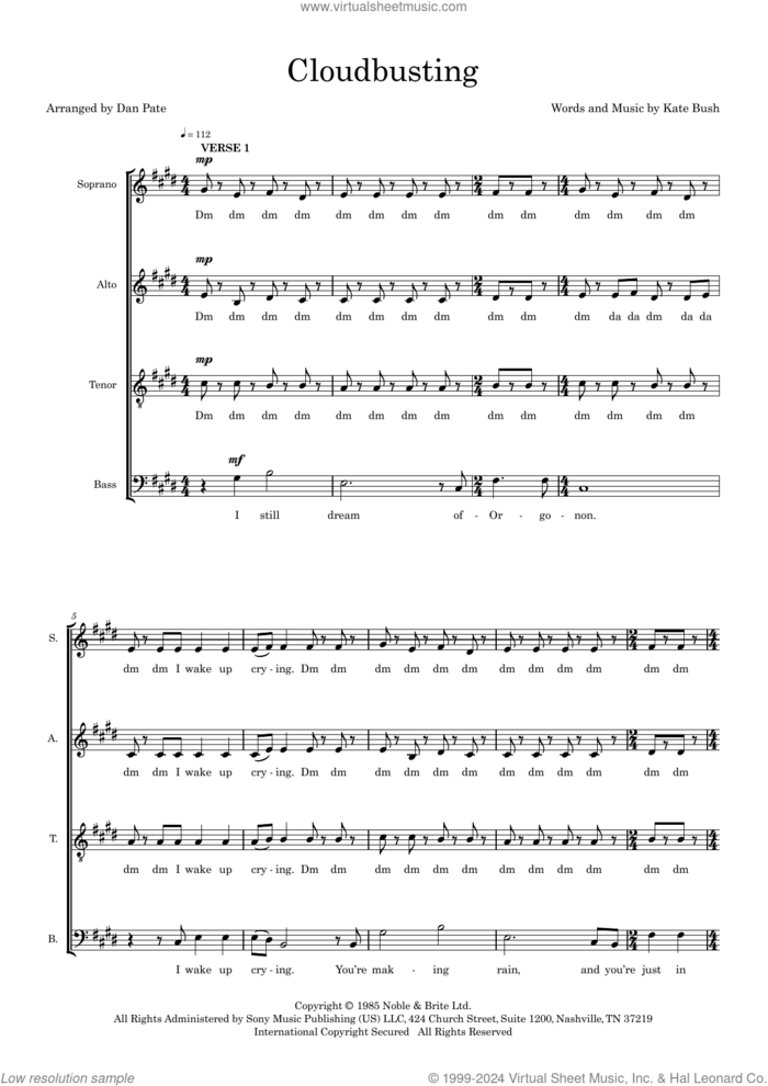 Cloudbusting (arr. Dan Pate) sheet music for choir (SATB: soprano, alto, tenor, bass) by Kate Bush and Dan Pate, intermediate skill level