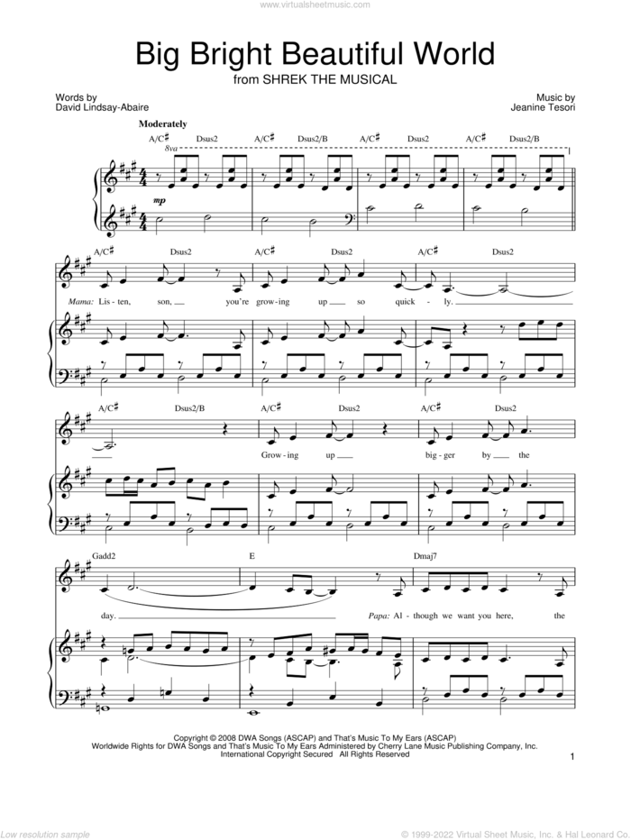 Big Bright Beautiful World sheet music for voice, piano or guitar by Shrek The Musical, David Lindsay-Abaire and Jeanine Tesori, intermediate skill level