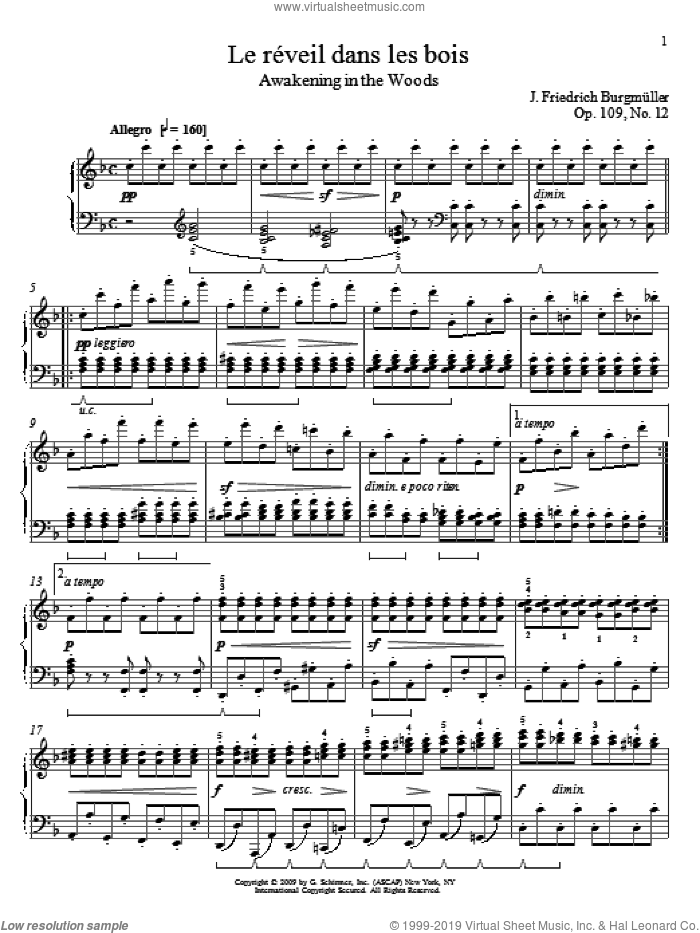 Awakening In The Woods sheet music for piano solo by Friedrich Johann Franz Burgmuller and William Westney, classical score, intermediate skill level
