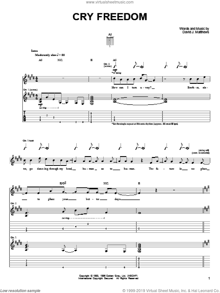 Cry Freedom sheet music for guitar (tablature) by Dave Matthews & Tim Reynolds, Dave Matthews, Tim Reynolds and Dave Matthews Band, intermediate skill level