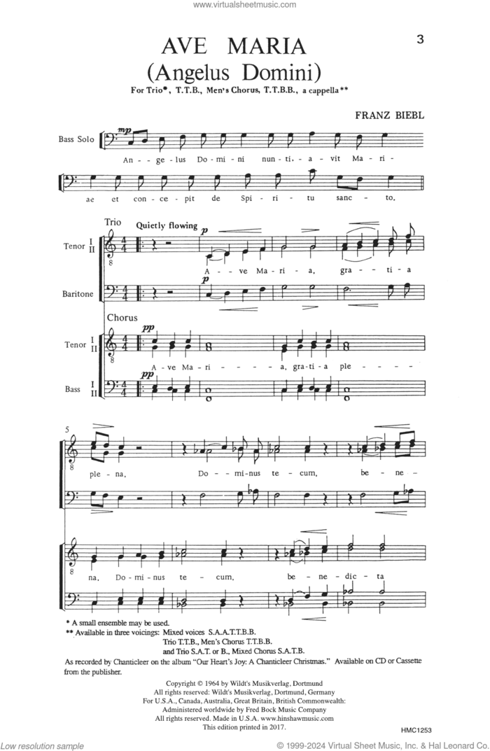 Ave Maria sheet music for choir (TTB: tenor, bass) by Franz Biebl, intermediate skill level