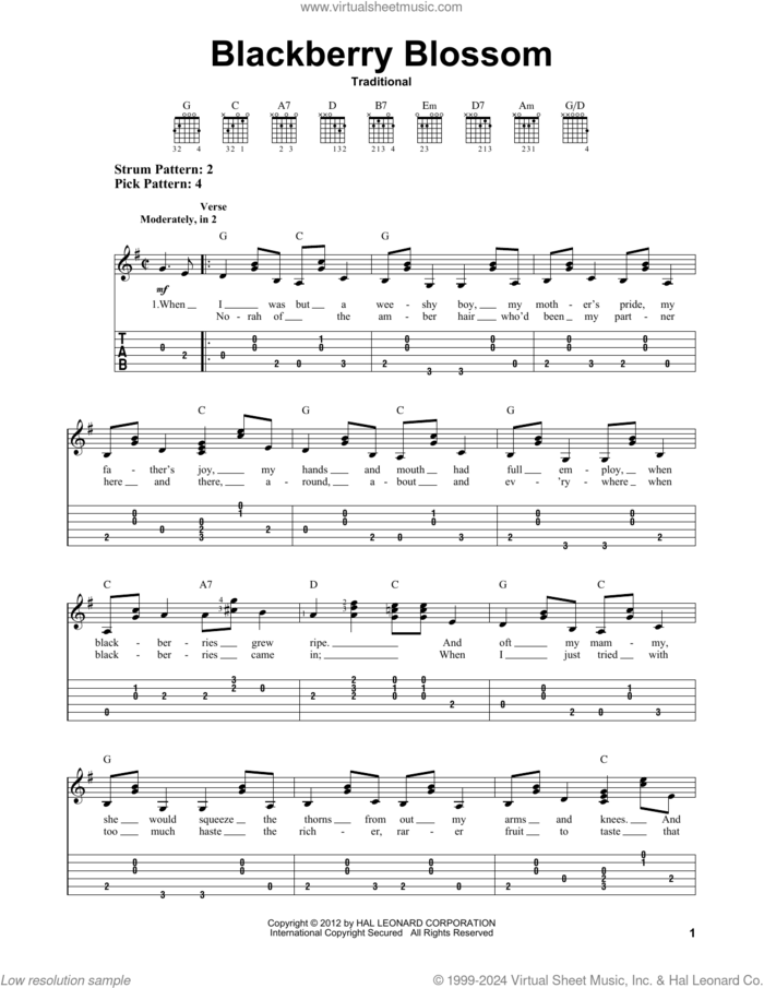 Blackberry Blossom sheet music for guitar solo (easy tablature), easy guitar (easy tablature)