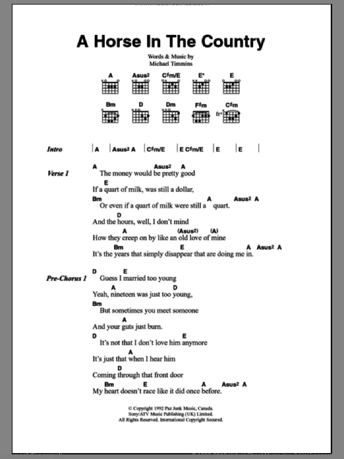 A Horse In The Country sheet music for guitar (chords) by Cowboy Junkies and Michael Timmins, intermediate skill level