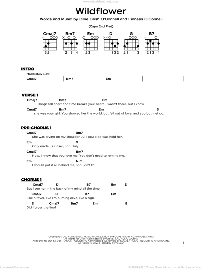 WILDFLOWER sheet music for guitar solo by Billie Eilish, beginner skill level