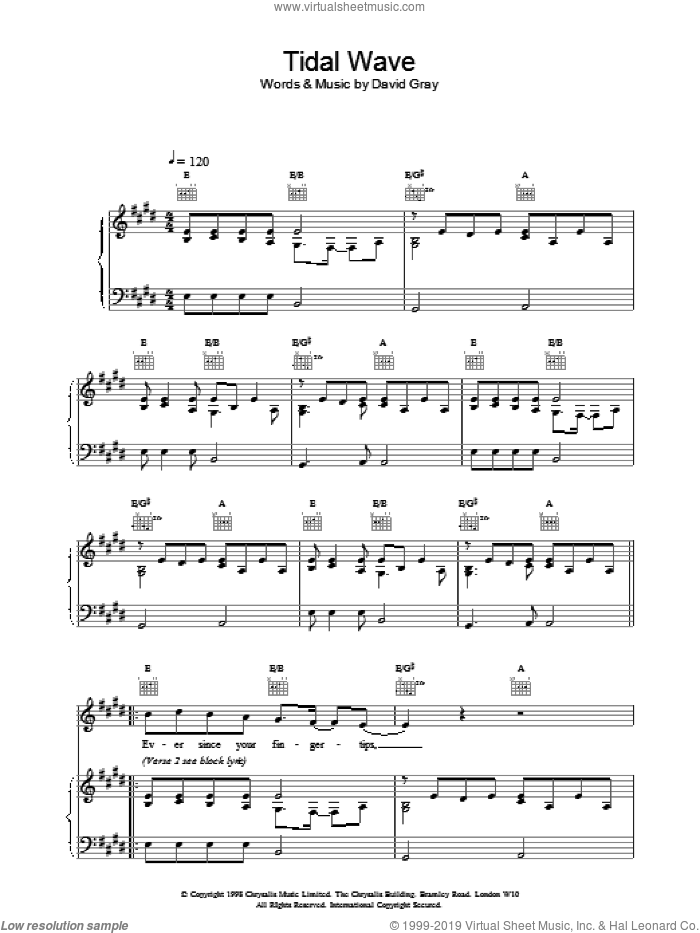 Tidal Wave sheet music for voice, piano or guitar by David Gray, intermediate skill level
