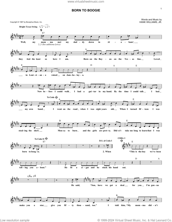 Born To Boogie sheet music for voice and other instruments (fake book) by Hank Williams, Jr., intermediate skill level
