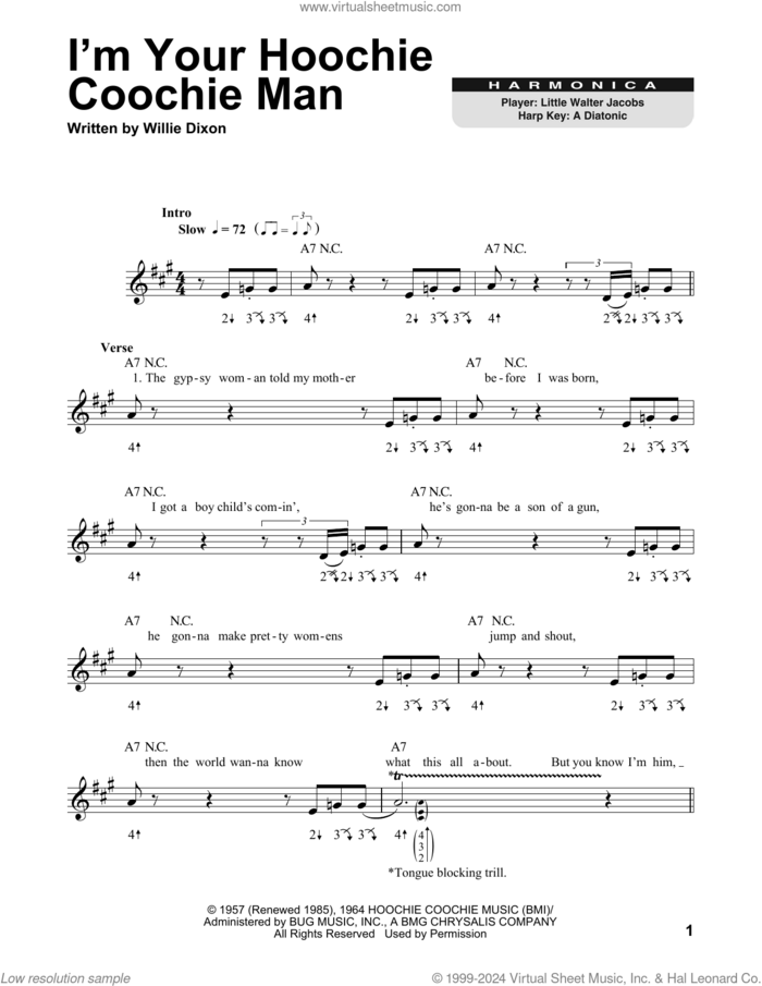 I'm Your Hoochie Coochie Man sheet music for harmonica solo by Muddy Waters, Jimi Hendrix and Willie Dixon, intermediate skill level