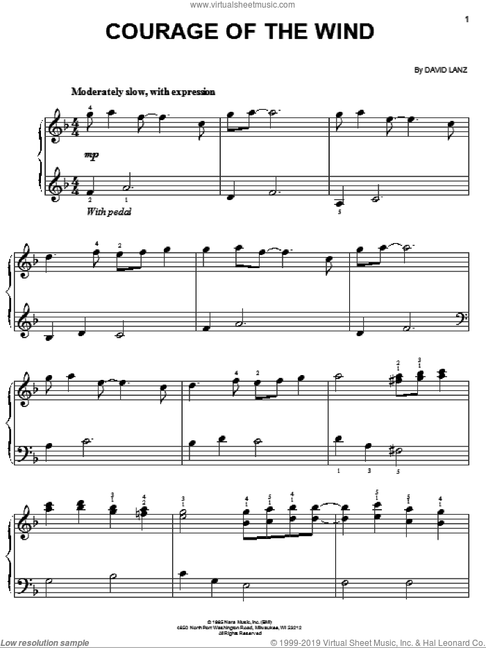 Courage Of The Wind sheet music for piano solo by David Lanz, easy skill level
