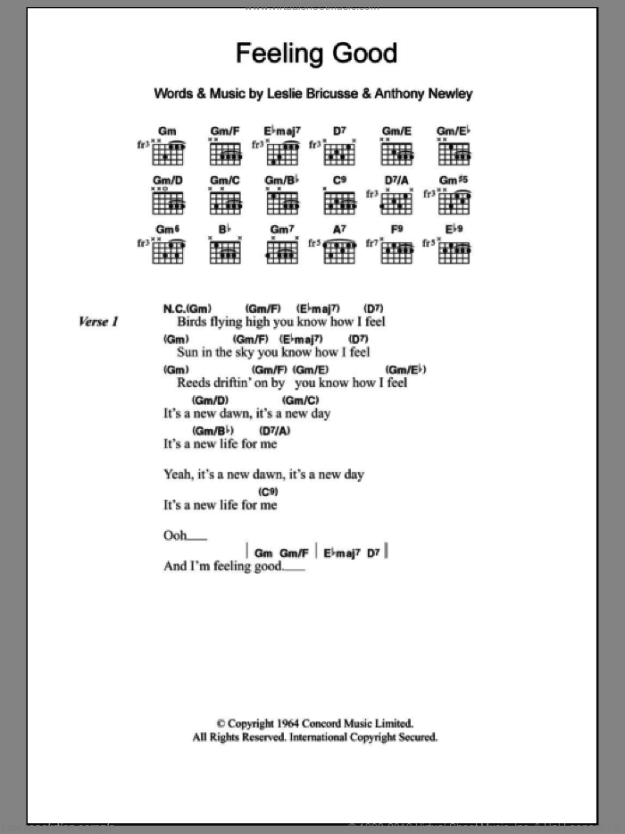 Feeling Good sheet music for guitar (chords) by Nina Simone, Anthony Newley and Leslie Bricusse, intermediate skill level