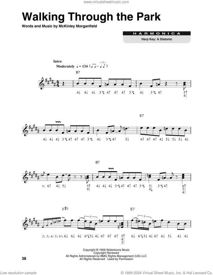 Walking Through The Park sheet music for harmonica solo by Muddy Waters and McKinley Morganfield, intermediate skill level