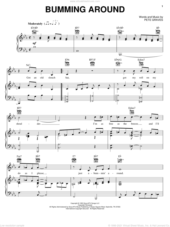 Bumming Around sheet music for voice, piano or guitar by T. Texas Tyler and Pete Graves, intermediate skill level