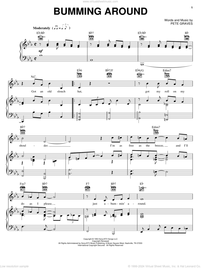 Bumming Around sheet music for voice, piano or guitar by T. Texas Tyler and Pete Graves, intermediate skill level