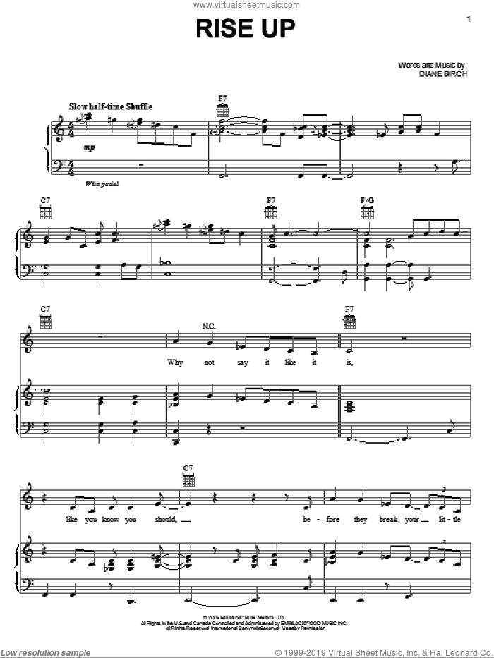 Rise Up sheet music for voice, piano or guitar by Diane Birch, intermediate skill level