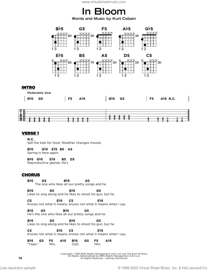 In Bloom sheet music for guitar solo by Nirvana and Kurt Cobain, beginner skill level