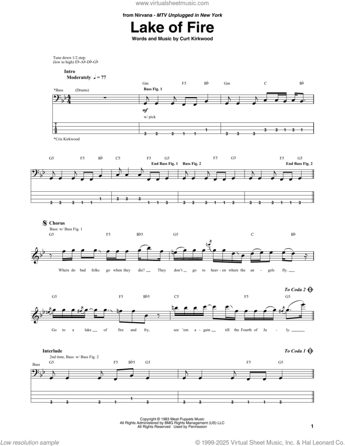 Lake Of Fire sheet music for bass (tablature) (bass guitar) by Nirvana, Meat Puppets and Curt Kirkwood, intermediate skill level