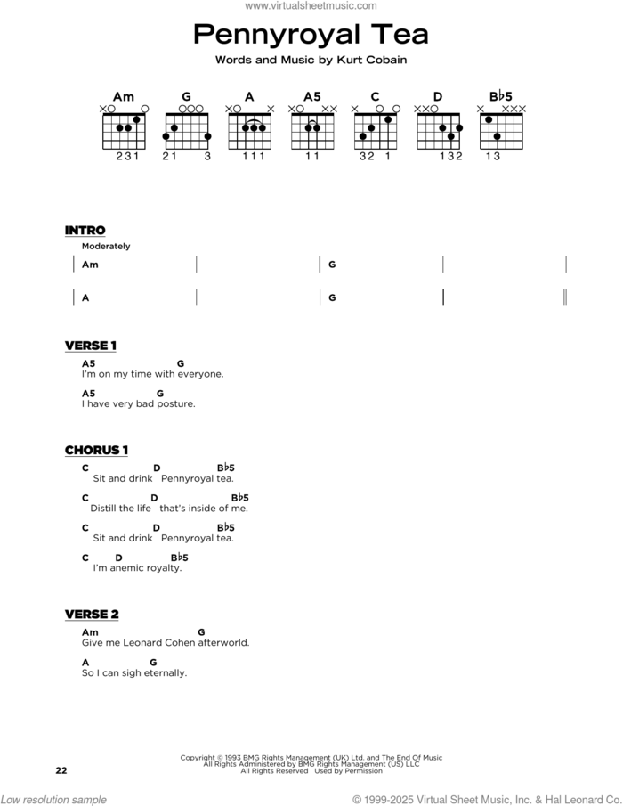 Pennyroyal Tea sheet music for guitar solo by Nirvana and Kurt Cobain, beginner skill level