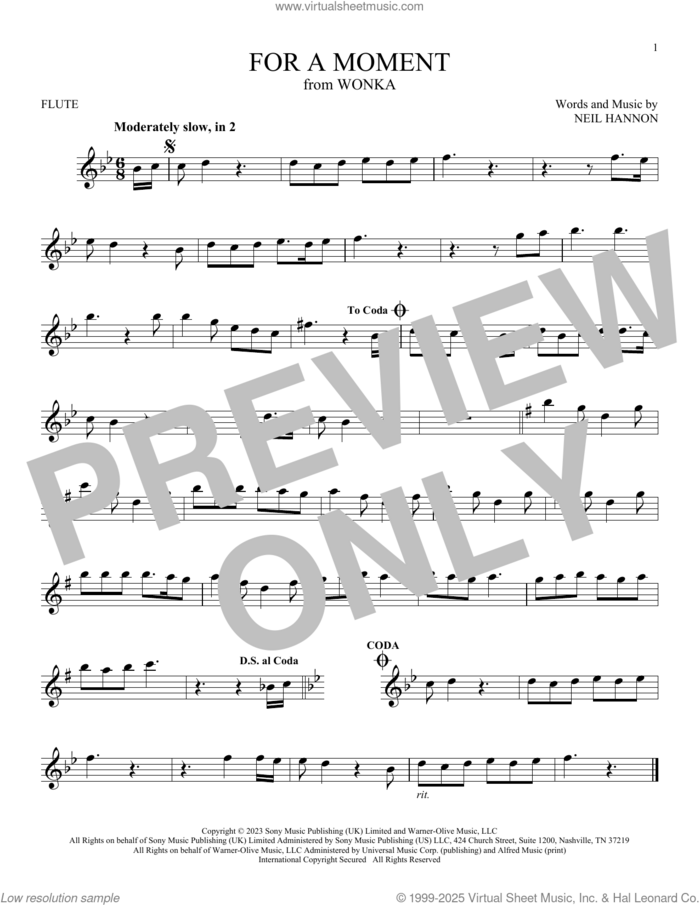 For A Moment (from Wonka) sheet music for flute solo by Neil Hannon, intermediate skill level