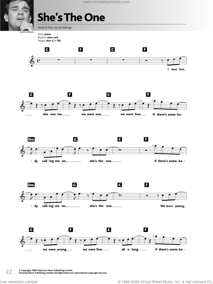 She's The One sheet music for voice and other instruments (fake book) by World Party and Karl Wallinger, intermediate skill level